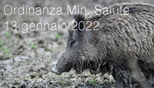 Ordinanza Min  Salute 13 gennaio 2022