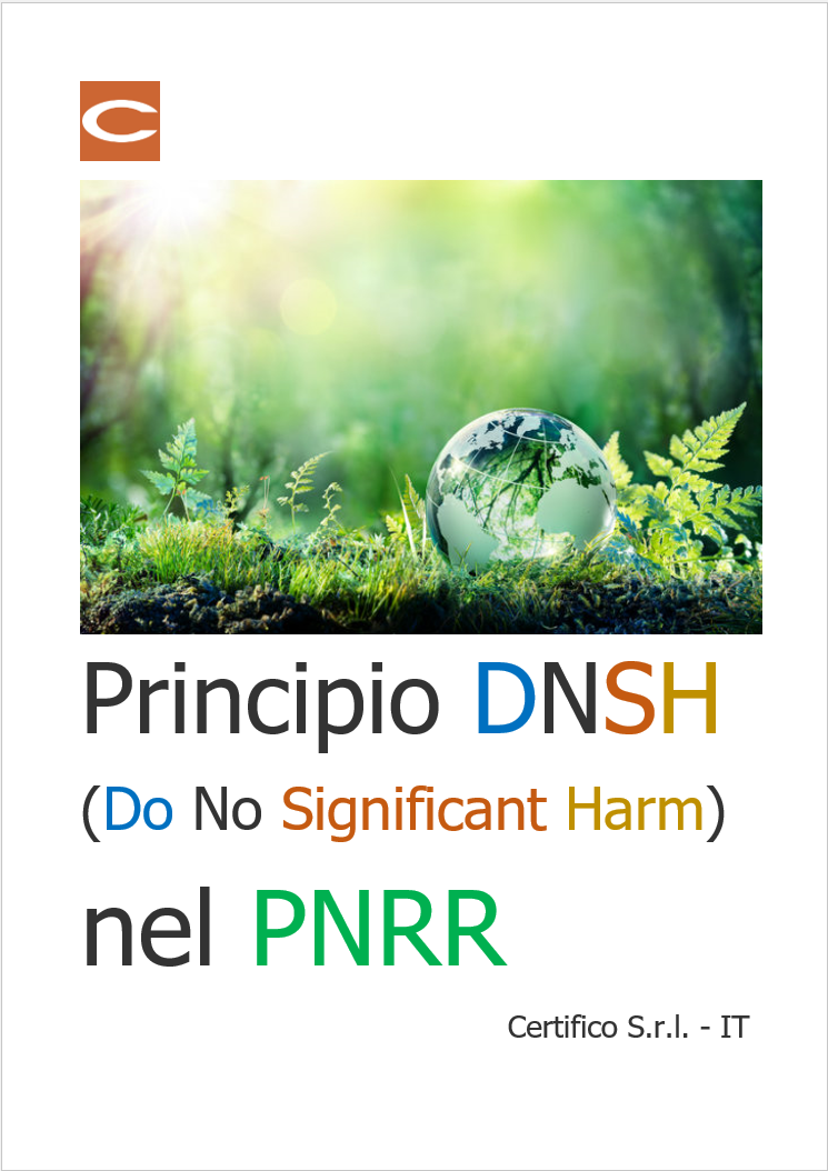 Principio DNSH
