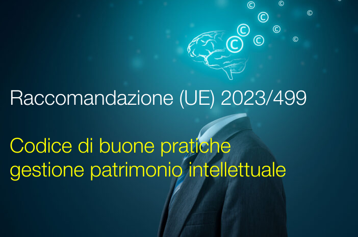 Raccomandazione  UE  2023 499