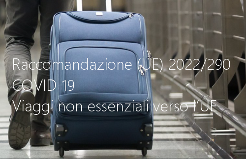 Raccomandazione UE 2022 290