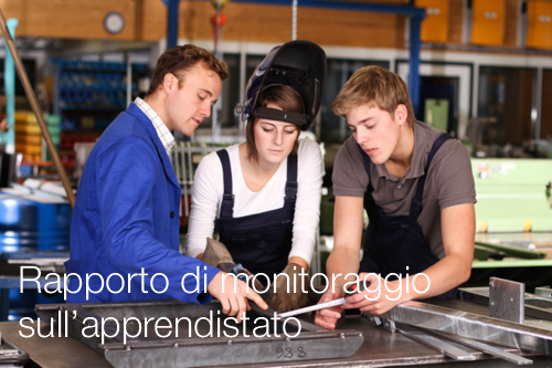 Rapporto di monitoraggio apprendistato