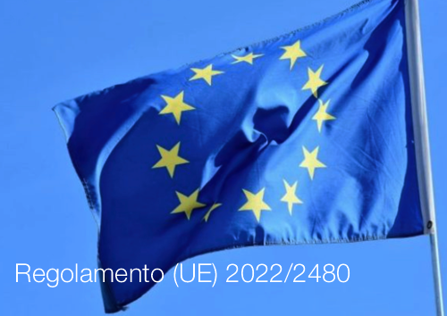 Regolamento UE 2022 2480