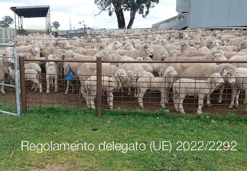 Regolamento delegato UE 2022 2292