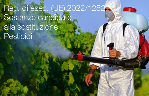 Regolamento di esecuzione UE 2022 1252