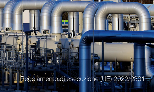 Regolamento di esecuzione UE 2022 2301