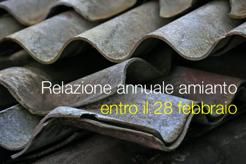 Relazione annuale entro il 28 febbraio