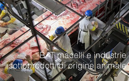 BAT macelli e industrie dei sottoprodotti di origine animale