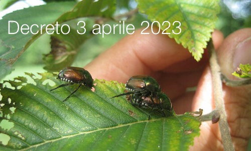 Decreto 3 aprile 2023