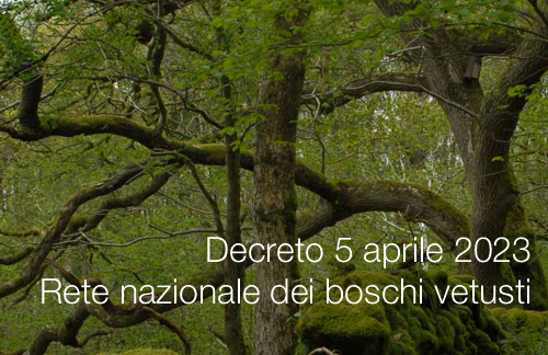 Decreto 5 aprile 2023   Rete nazionale dei boschi vetusti
