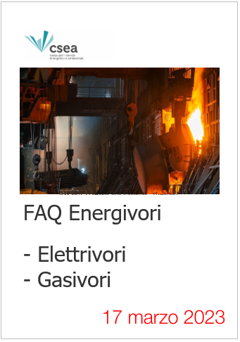 FAQ Energivori  Elettrivori Gasivori  17 marzo 2023
