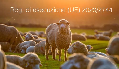 Regolamento di esecuzione  UE  2023 2744