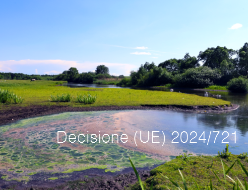 Decisione  UE  2024 721