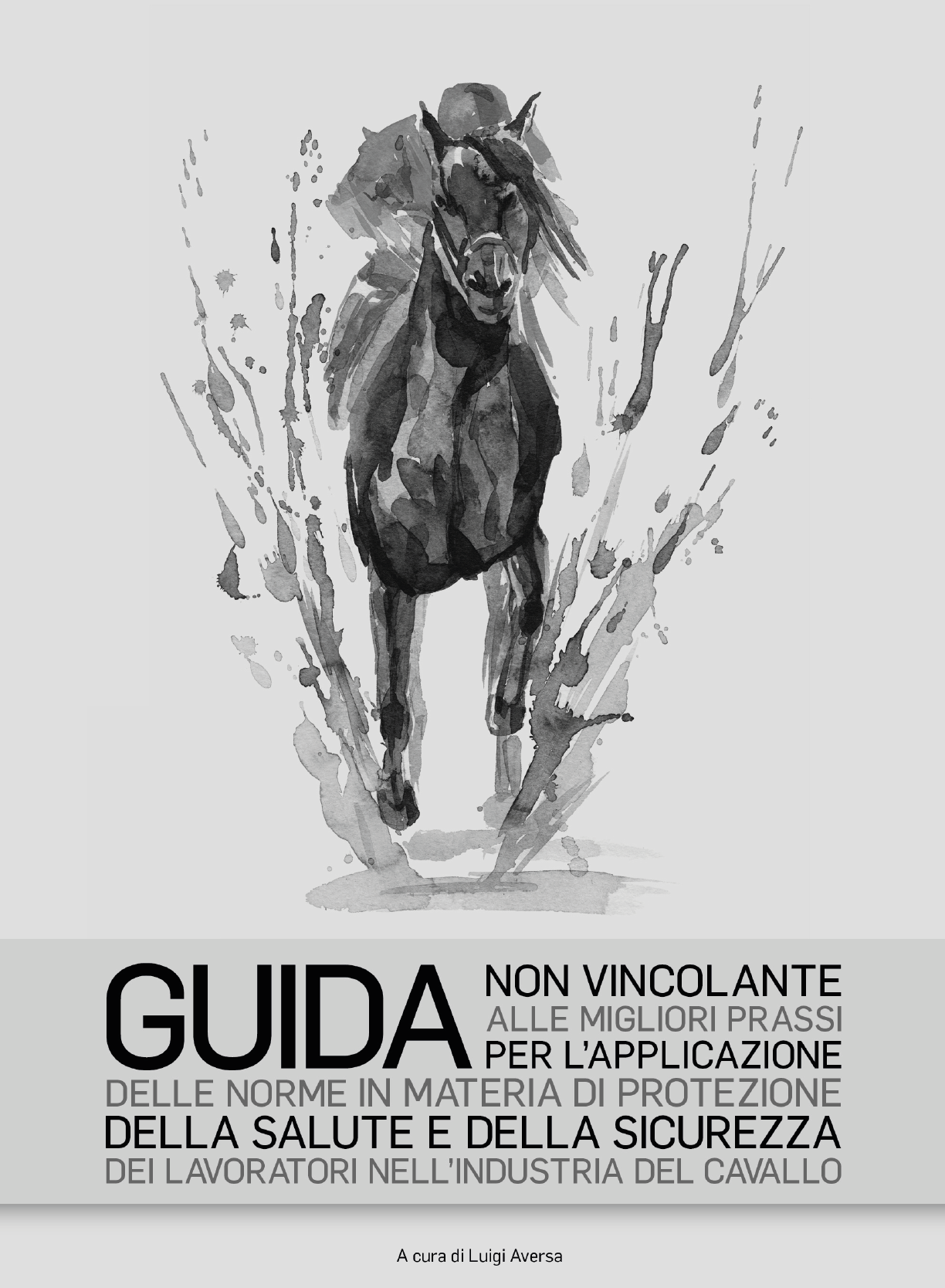 Guida Sicurezza Industria Cavallo