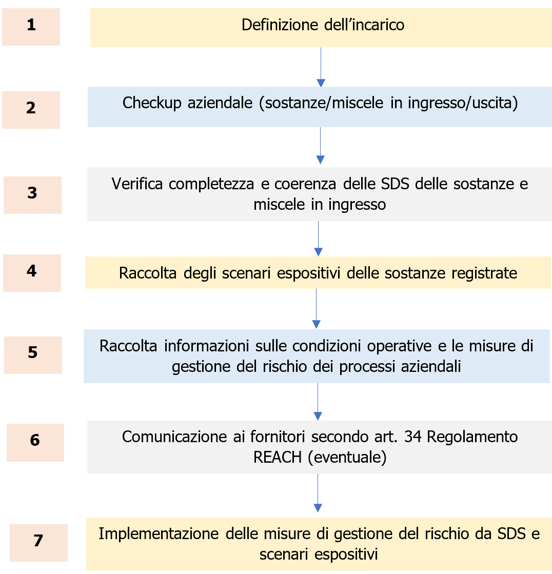 La persona competente compilazione SDS   Figura 1