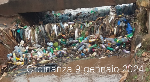 Ordinanza 9 gennaio 2024