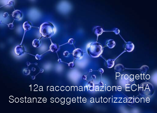 Progetto 12a raccomandazione ECHA