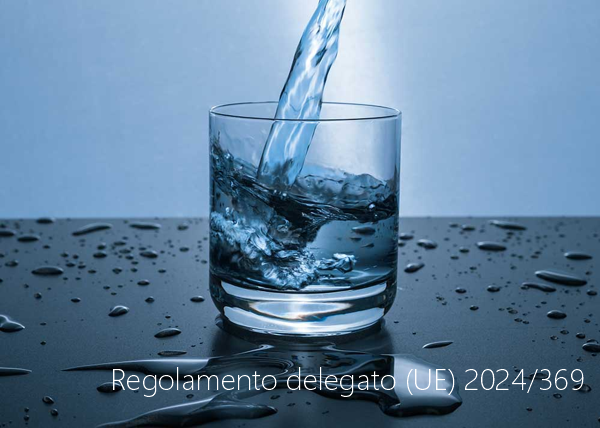 Regolamento delegato  UE  2024 369