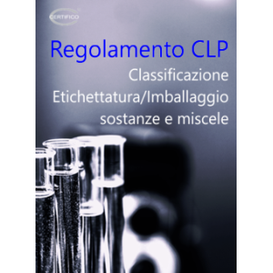 CLP 2025