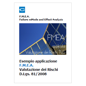 F.M.E.A. e Valutazione dei Rischi D.Lgs. 81/2008