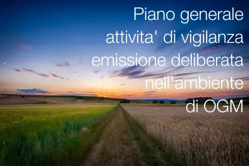 Piano vigilanza OGM Piano vigilanza OGM