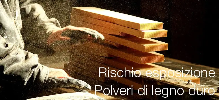 Rischio esposizione polveri legno duro