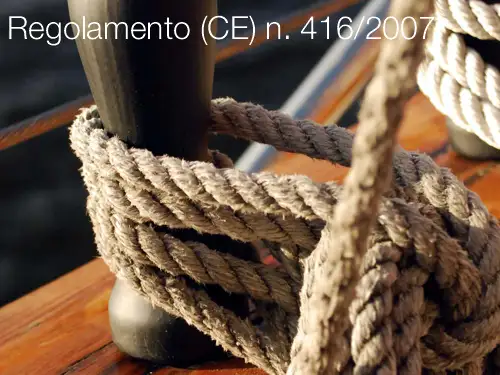 Regolamento CE n 416 2007 Regolamento CE n 416 2007