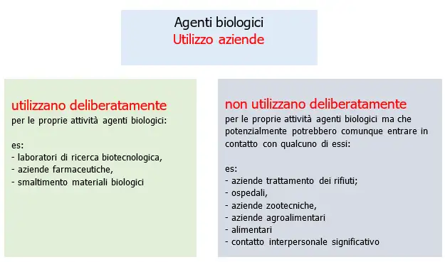 utilizzo azienda utilizzo azienda