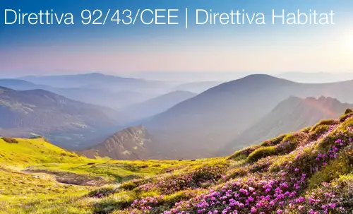 Direttiva Habitat Direttiva Habitat