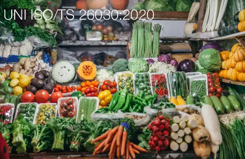 UNI ISO TS 26030 2020 UNI ISO TS 26030 2020