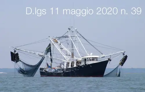 Decreto Legislativo 11 maggio 2020 n  39