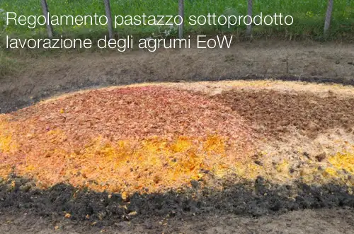 Regolamento pastazzo sottoprodotto lavorazione degli agrumi EoW Regolamento pastazzo sottoprodotto lavorazione degli agrumi EoW
