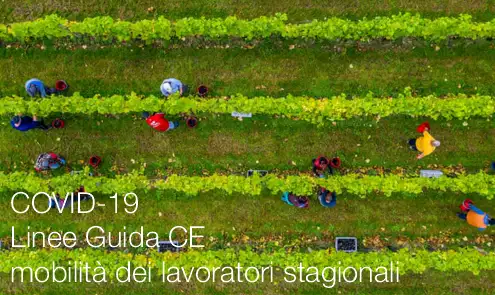 Linee guida stagionali Linee guida stagionali