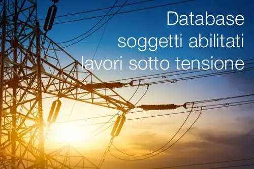 Database soggetti abilitati lavori sotto tensione Database soggetti abilitati lavori sotto tensione