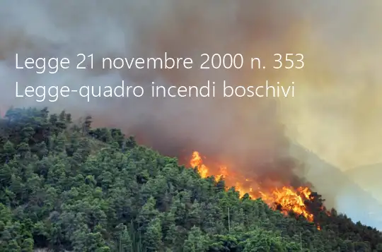 Legge 21 novembre 2000 n 353 Legge 21 novembre 2000 n 353