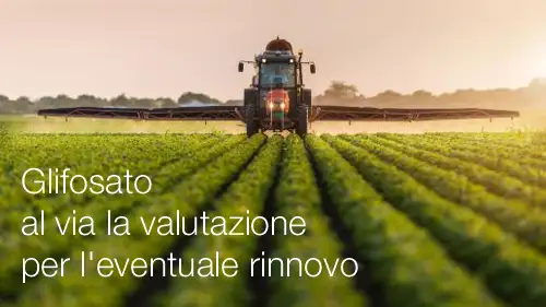Glifosato al via la valutazione per l eventuale rinnovo Glifosato al via la valutazione per l eventuale rinnovo