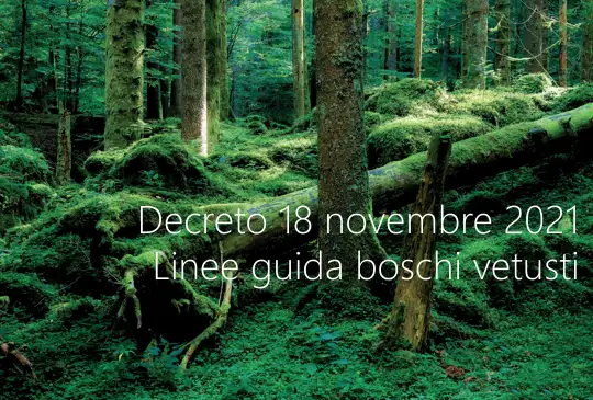 Decreto 18 novembre 2021 Linee guida boscghi vetusti Decreto 18 novembre 2021 Linee guida boscghi vetusti