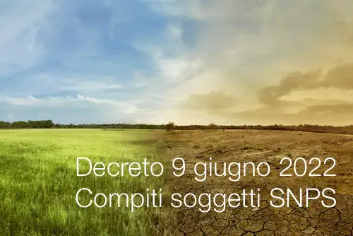 Decreto 9 giugno 2022   Compiti soggetti SNPS