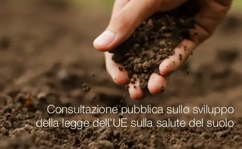 Consultazione pubblica sullo sviluppo della legge dell UE sulla salute del suolo Consultazione pubblica sullo sviluppo della legge dell UE sulla salute del suolo
