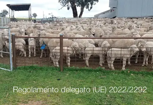 Regolamento delegato UE 2022 2292 Regolamento delegato UE 2022 2292