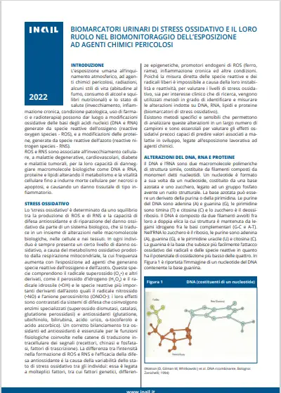 Biomarcatori urinari di stress ossidativo Biomarcatori urinari di stress ossidativo