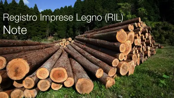 Registro Imprese Legno RIL Note Registro Imprese Legno RIL Note