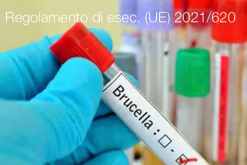 Regolamento di esecuzione UE 2021 620 Regolamento di esecuzione UE 2021 620