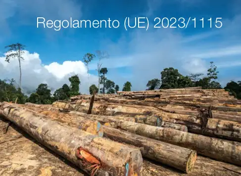 Regolamento UE 2023 1115 Regolamento UE 2023 1115