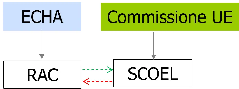 Fig 1 Comitati ECHA Valutazione sostanze chimiche e Commissione UE Sostanze chimiche lavoro Fig 1 Comitati ECHA Valutazione sostanze chimiche e Commissione UE Sostanze chimiche lavoro