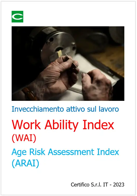 Work Ability Index WAI 2023 Work Ability Index WAI 2023