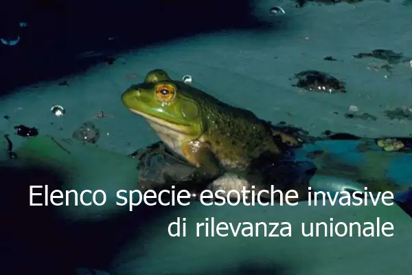 Elenco delle specie esotiche invasive di rilevanza unionale Elenco delle specie esotiche invasive di rilevanza unionale