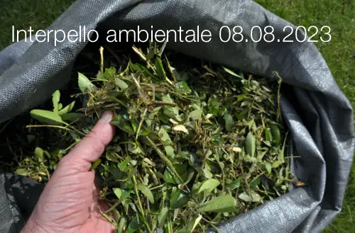 Interpello ambientale 08 08 2023 Gestione dei residui della manutenzione del verde urbano Interpello ambientale 08 08 2023 Gestione dei residui della manutenzione del verde urbano