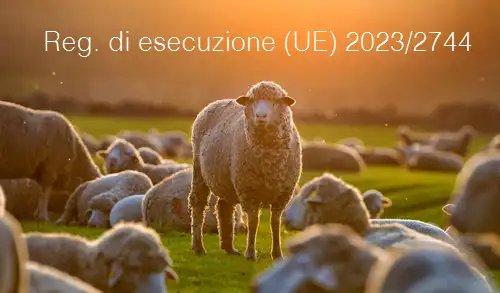 Regolamento di esecuzione  UE  2023 2744