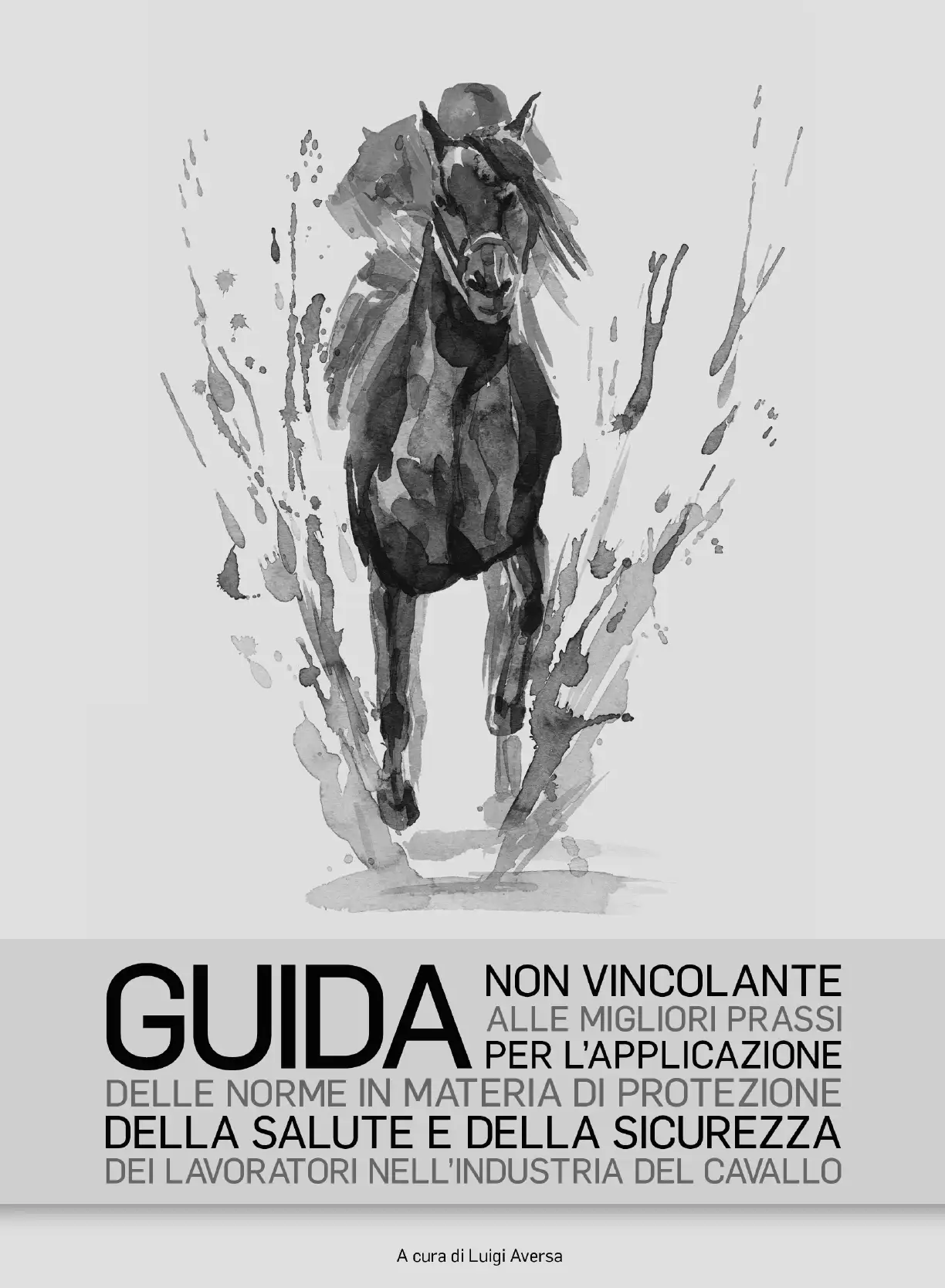 Guida Sicurezza Industria Cavallo Guida Sicurezza Industria Cavallo