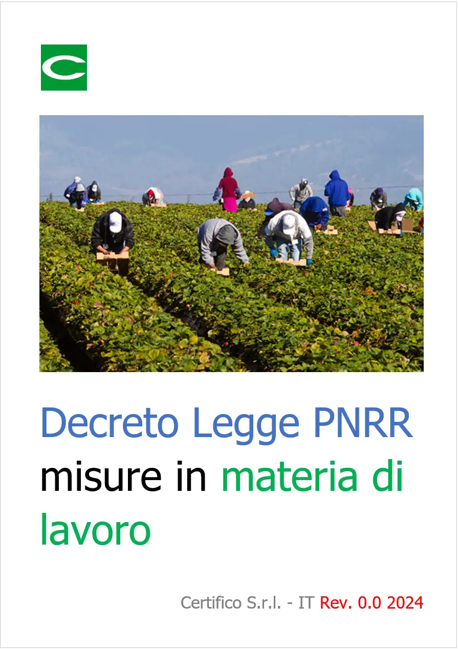 Decreto Legge PNRR misure in materia di lavoro Decreto Legge PNRR misure in materia di lavoro